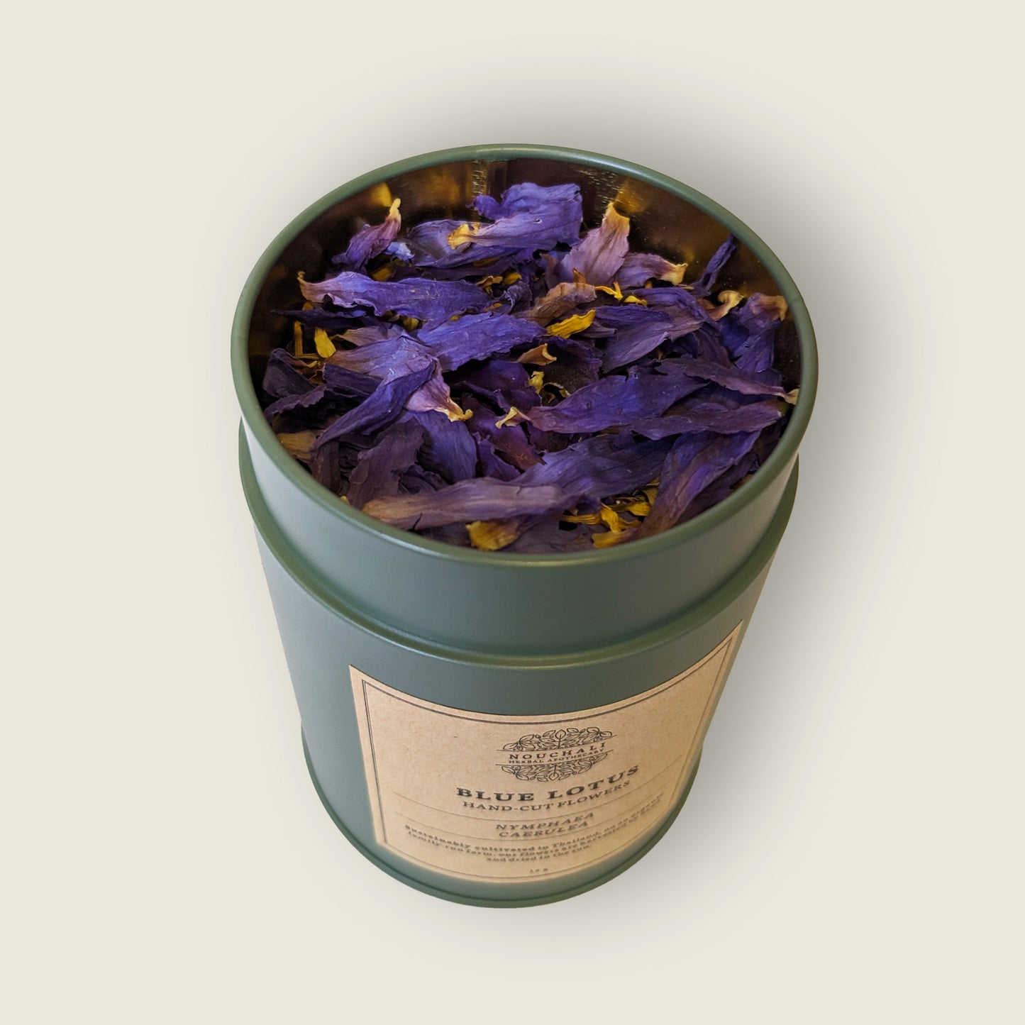 Blue Lotus, Hand-Cut Flowers